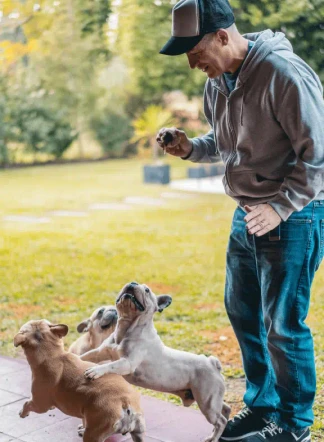 Imagen centrada desktop