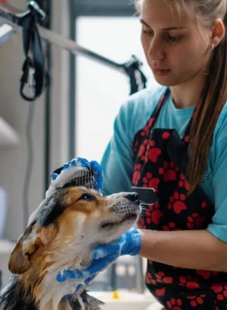 Imagen centrada desktop