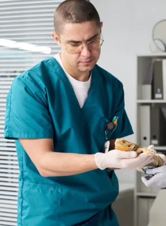 Imagen centrada desktop