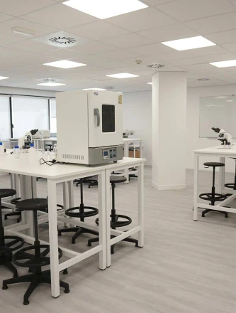 Imagen de galería