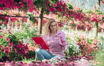 Imagen centrada mobile