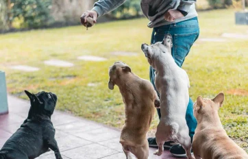 Imagen centrada mobile