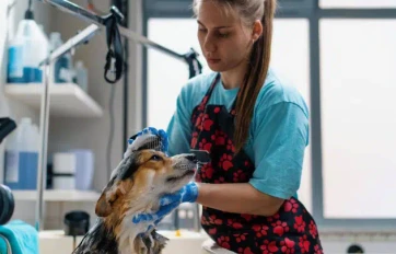 Imagen centrada mobile