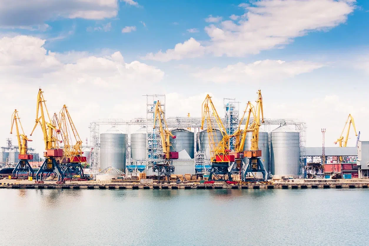 fp-comercio-marketing-salidas-profesionales