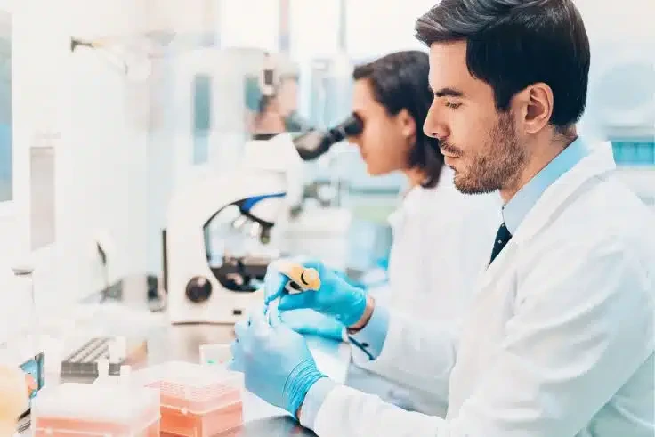 Farmacocinética