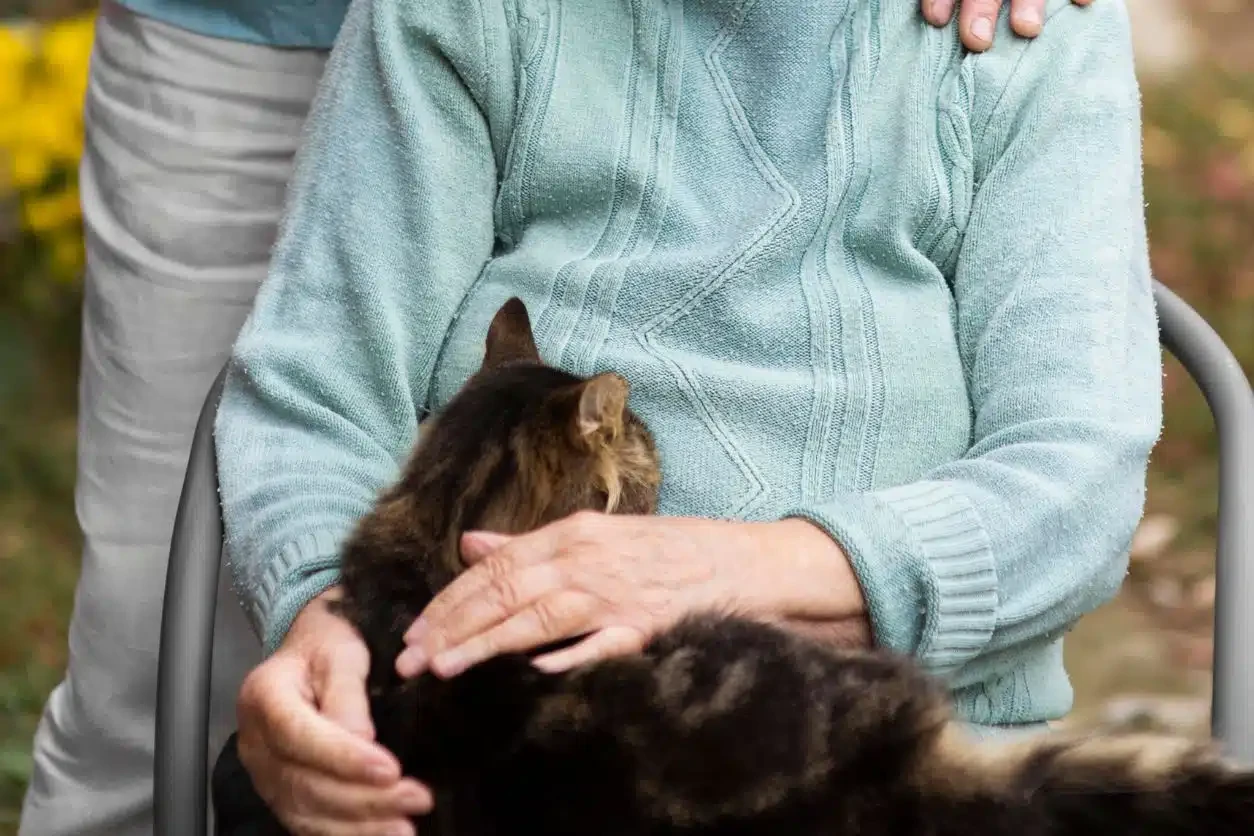 terapia animales adultos mayores