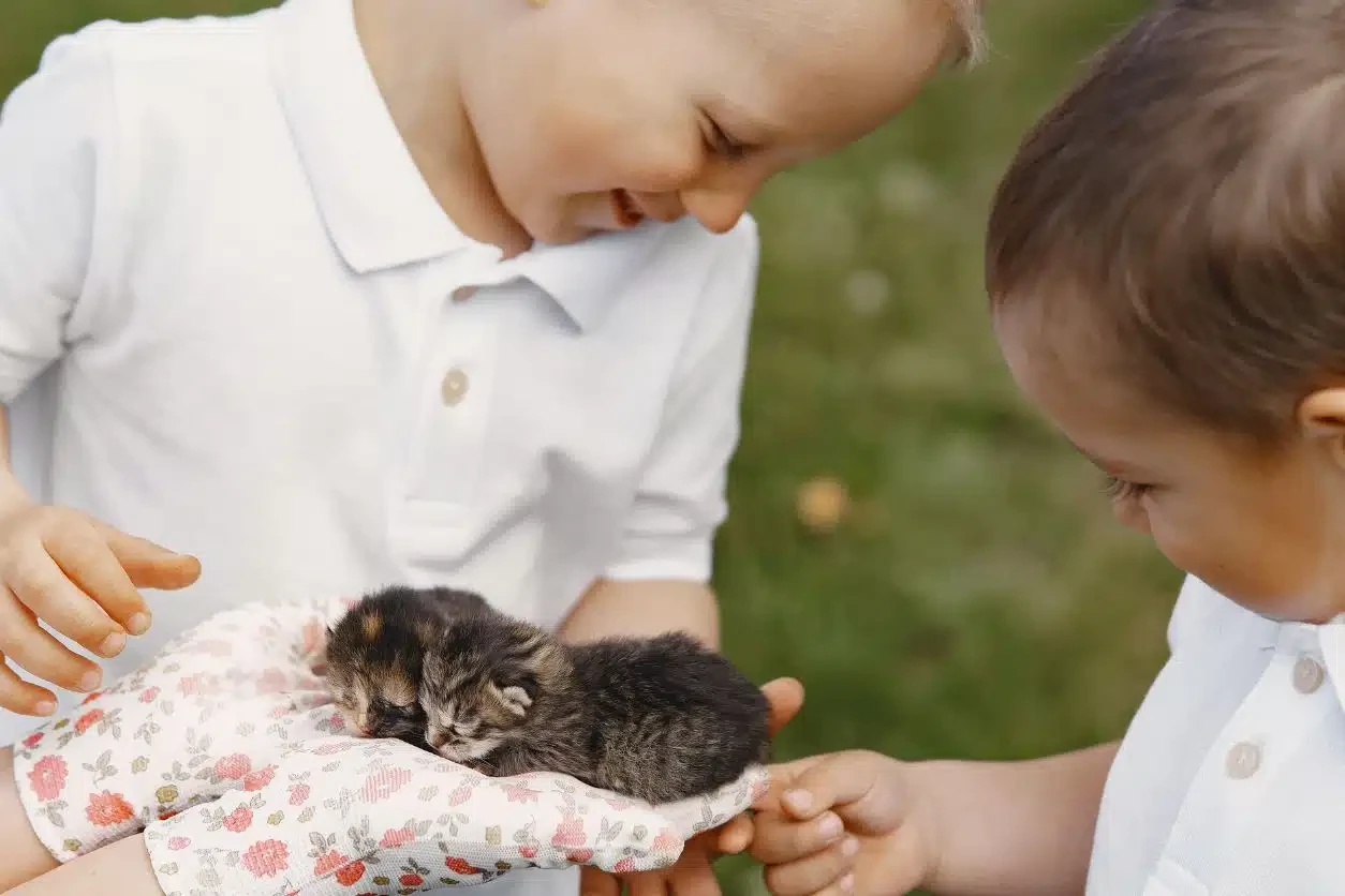 terapia con animales para niños
