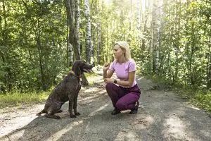 Sueldo adiestrador canino: lo que gana un adiestrador de perros